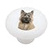 Cairn Terrier Dog Portrait Decorative High Gloss Ceramic Drawer Knob