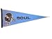 Philadelphia Soul Traditons Pennant