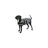 Water Repellant Plaid Blanket Coat with Fleece Lining for Dogs Puppies EXTRA SMALL (XS)