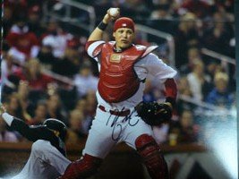 Signed Molina, Yadier (St. Louis Cardinals) 11x14 Photo