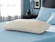 Sealy EmbodyTM Optimal Latex Pillow