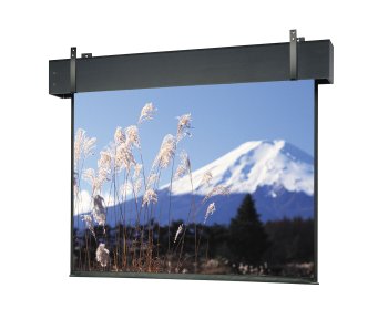 Dalite Professional Electrol Square Format 12 X 16 Feet Matte White Projection Screen - Dalite 81624