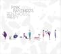 Pink Panther's Penthouse Party