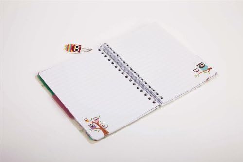 Give a Hoot Owl A5 Notepad with Dividers