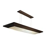 Buy American Fluorescent AEL232RBMV-CK Aeon 16-Inch Multi-Volt Suspended Light with... by American Fluorescent