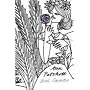 Bel Canto (The Perennial Collection)