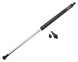 OES Genuine Hood Strut