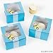Dozen Cardboard Baby Boy Shower Cupcake Boxes