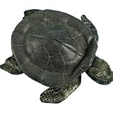 Plush Emerald Sea Turtle 10