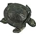 Plush Emerald Sea Turtle 10
