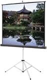 70INX70IN Picture King Tri-pod Screen Matte White  Keystone Elim.