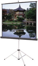 70INX70IN Picture King Tri-pod Screen Matte White & Keystone Elim.