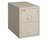 Insulated File Cabinet,2 Drawer,17-3/4'x31-1/2'x27-3/4',PHT