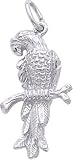 Jewelry : Parrot Charm by Rembrandt Charms