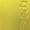Yellow Fly