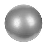 65cm Anti-Burst Exercise Ball