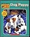 Dog & Puppy Set (Hound at the Hospital, Puppy in a Puddle, Dog at the Door, Puppies in the Pantry) (Animal Ark)