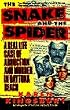Snake and Spider