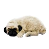 Perfect Petzzz Pug