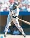 Tony Gwynn autographed 8x10 Photo (San Diego Padres) (Photo will vary - batting)