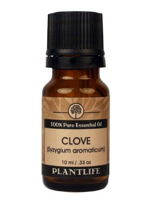 Plantlife Clove Bud Oil
