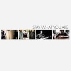 Stay What You Are by Saves the Day