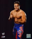 PRIMO WWE GLOSSY COLOR 8 x 10 WRESTLING PHOTO