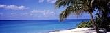 7 Mile Beach, West Bay, Caribbean Sea, Cayman Islands Photographic Poster Print by Panoramic Images, 24x8