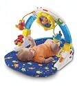 Ocean Wonders Rockin' Aquarium Gym