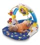 Ocean Wonders Rockin' Aquarium Gym