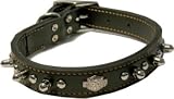 Harley Davidson Leather Spiked Collar 1