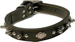 Harley Davidson Leather Spike Collar 1" x18"