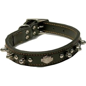 Coastal Pet Harley-Davidson Spiked Leather Dog Collar (Black, 20 Inch L x 1 Inch W)