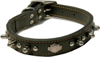 Harley Davidson Dog Collar