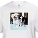   - Maltese - Toddler T-Shirt (3T)