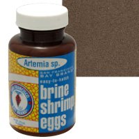 Brine Eggs - 0.21 oz. by SAN FRANCISCO BAY BRAND INC.