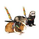 Comfort Harness Stretchy Leash - Medium