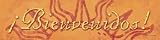Bienvenidos, Hispanic Culture Art Poster Print by Stephanie Marrott, 20x5