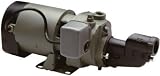 Flint & Walling/Star Water #ES05S 1/2HP Shall Well Pump