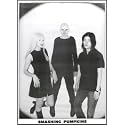 The Smashing Pumpkins ~ Rare Black and White Poster Print ~ Approx 24 X 36 Inches