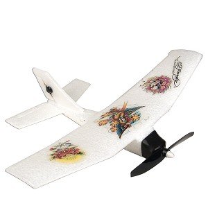 Ed Hardy 8 Special Edition R/C Single Wing Plane by Christian Audigier w/27MHz Remote Control (Skull Design)