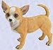 Chewy The Chihuahua Statue Life like dog Sculpture new