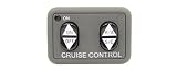 Dash mount Cruise Control Switch 250-3593