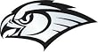 Atlanta Hawks Silver Auto Emblem - BASKETBALL Sports Merchandise