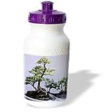 Trees - Bonsai Tree - Water Bottles