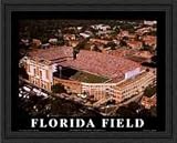 Griffin Stadium Florida Gators Aerial Framed Print