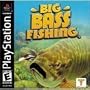 Big Bass Fishing