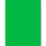 Green Chromakey 5 x 5 Ft. Photography Photo Studio Muslin Backdrop Background