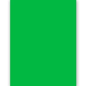 10'x13' Green Chromakey Studio Background Muslin Photo Backdrop, GRN10X13