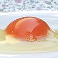 卵かけご飯が美味しい「宝友卵（６０個）」